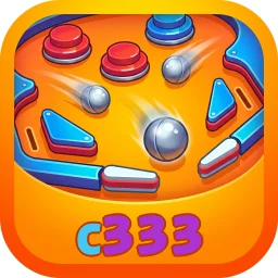 c333