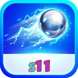 s11